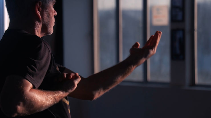 The Art of Wing Chun - D.O.P